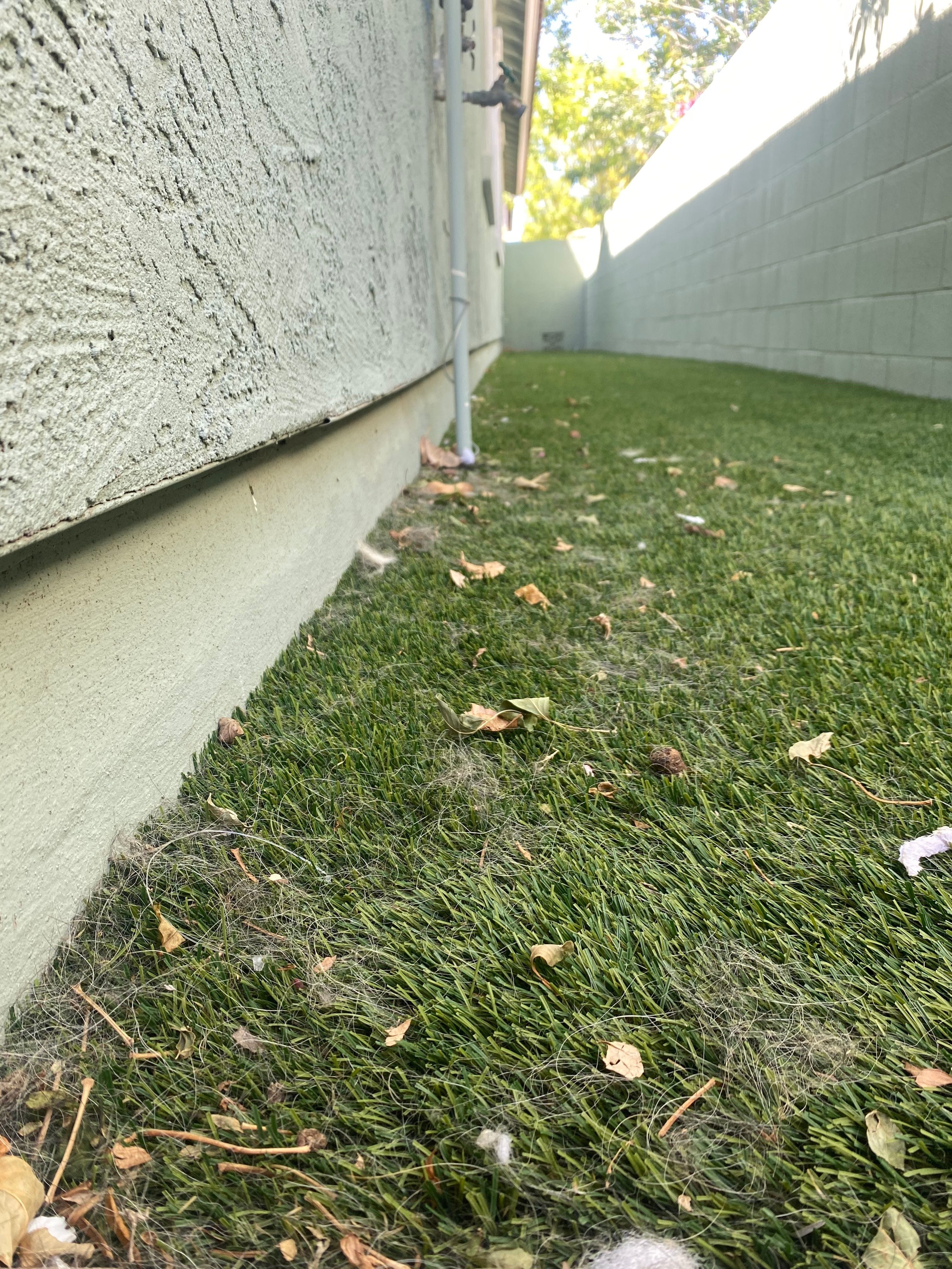Side yard artificial turf before professional cleaning by Zeo Turf Cleaning