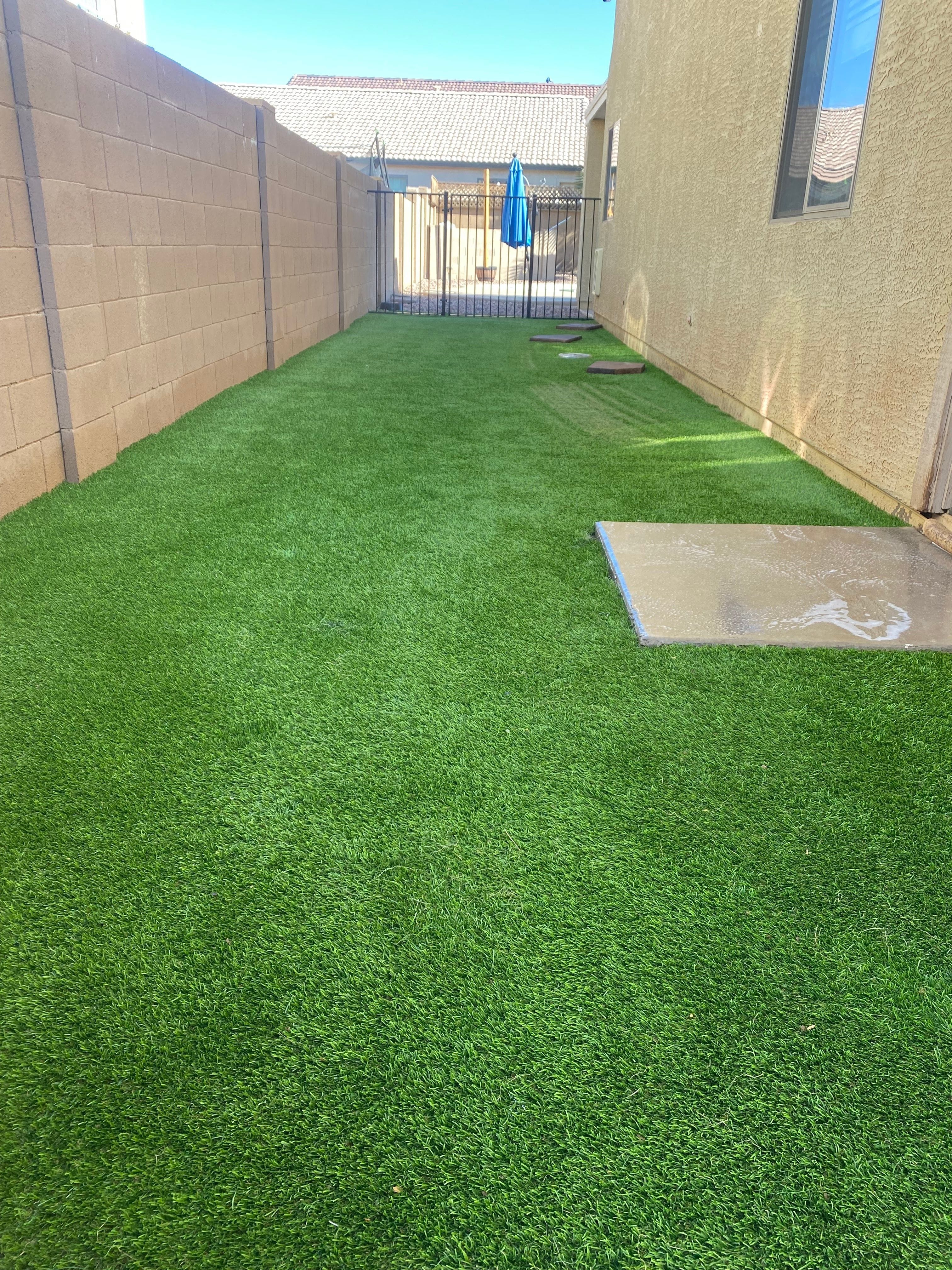 Clean, odor-treated artificial turf in a dog-use area by Zeo Turf Cleaning
