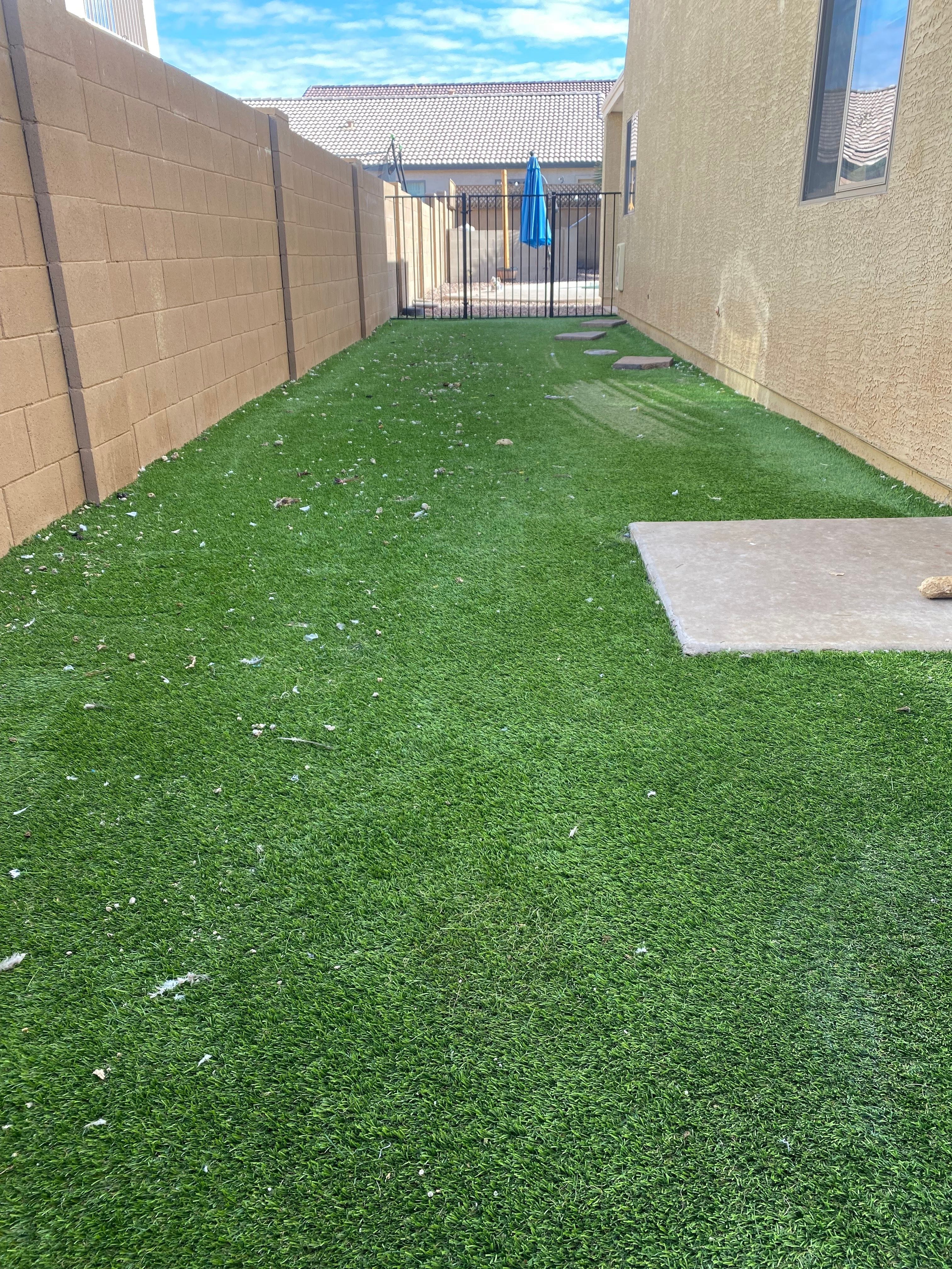 Artificial turf with surface debris before professional cleaning by Zeo Turf Cleaning